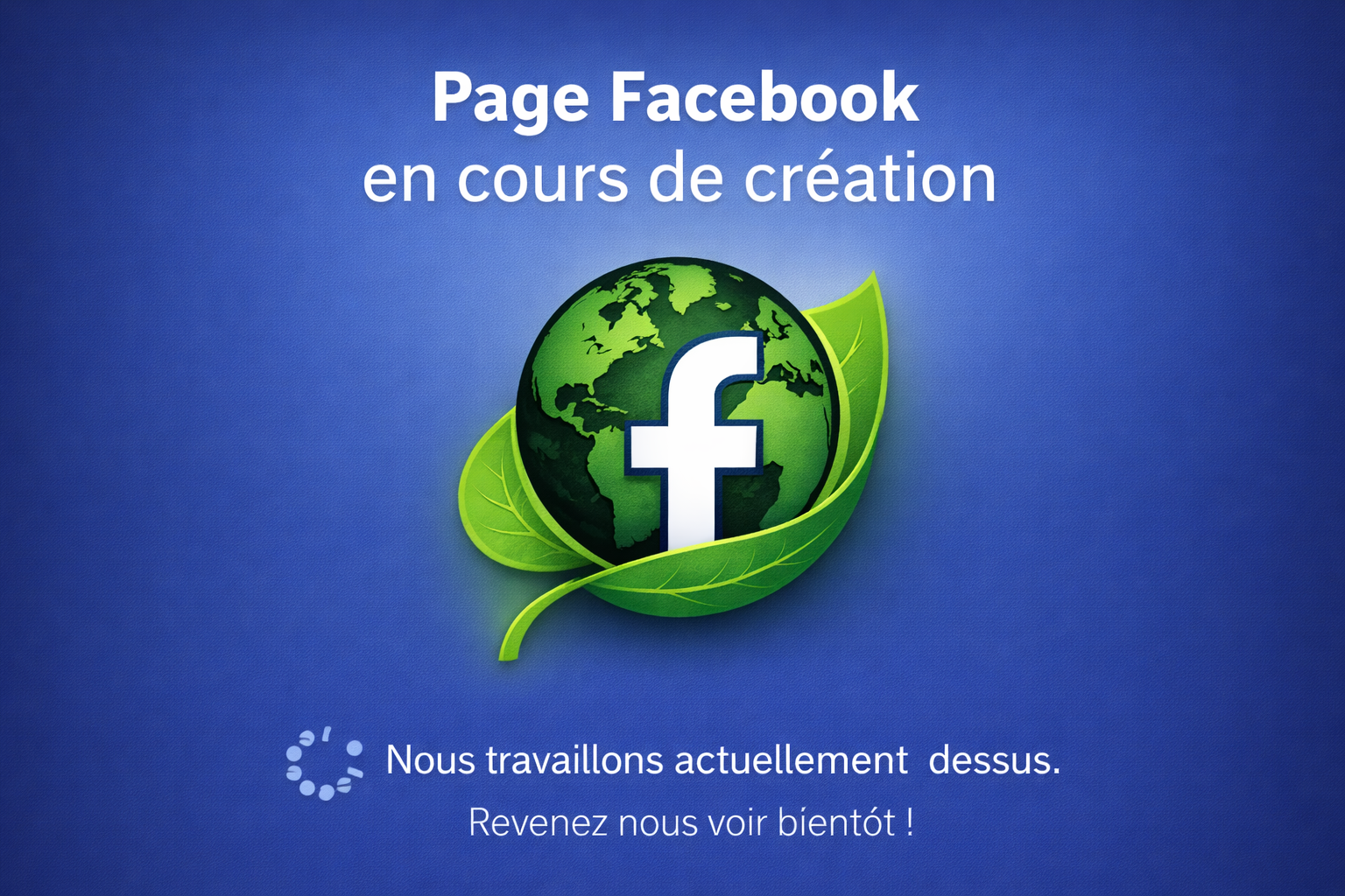 Page Facebook en cours de création
